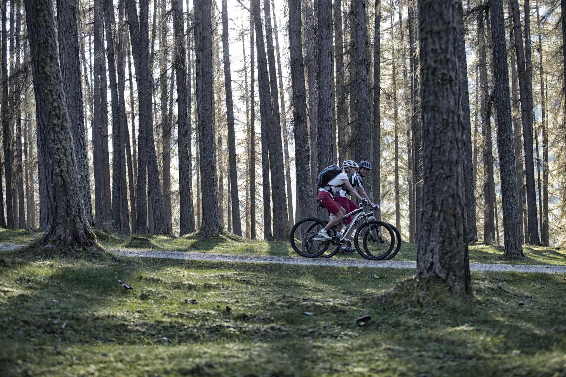 Mountainbike_Abfahrt_07 TRUEFER's 545 rose